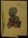 mini-Cards20031.jpg